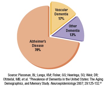 Alzheimer s Disease A Type Of Dementia